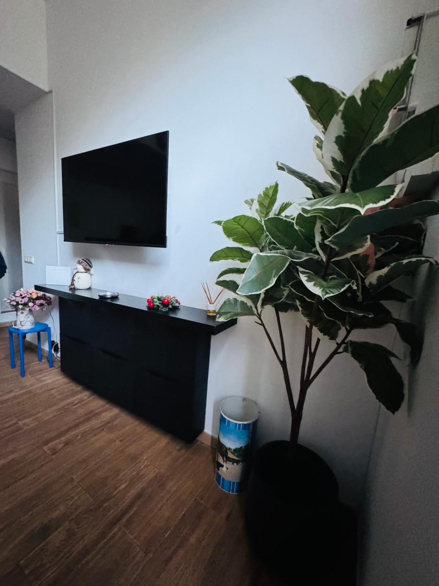 Pamis Apartament Sants, 巴塞罗那 外观 照片
